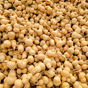 �S�����l����С���J �������С���J�������J��ˇƷ�ؔ�؛Դ