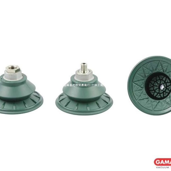 Italian Gamavuoto vacuum suction cup/suction cup holder V12C series products are shipped directly from the factory, brand new plastic