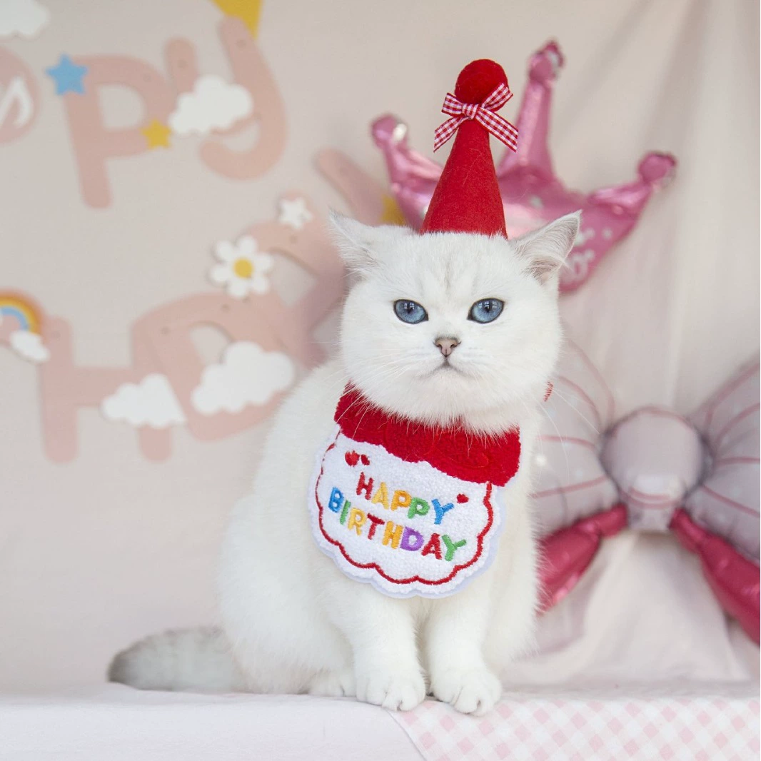 Pet день рождения вышивка INS стиль милый нагрудник воротник слюны полотенце бант Шляпа кошка собака вечерние аксессуары