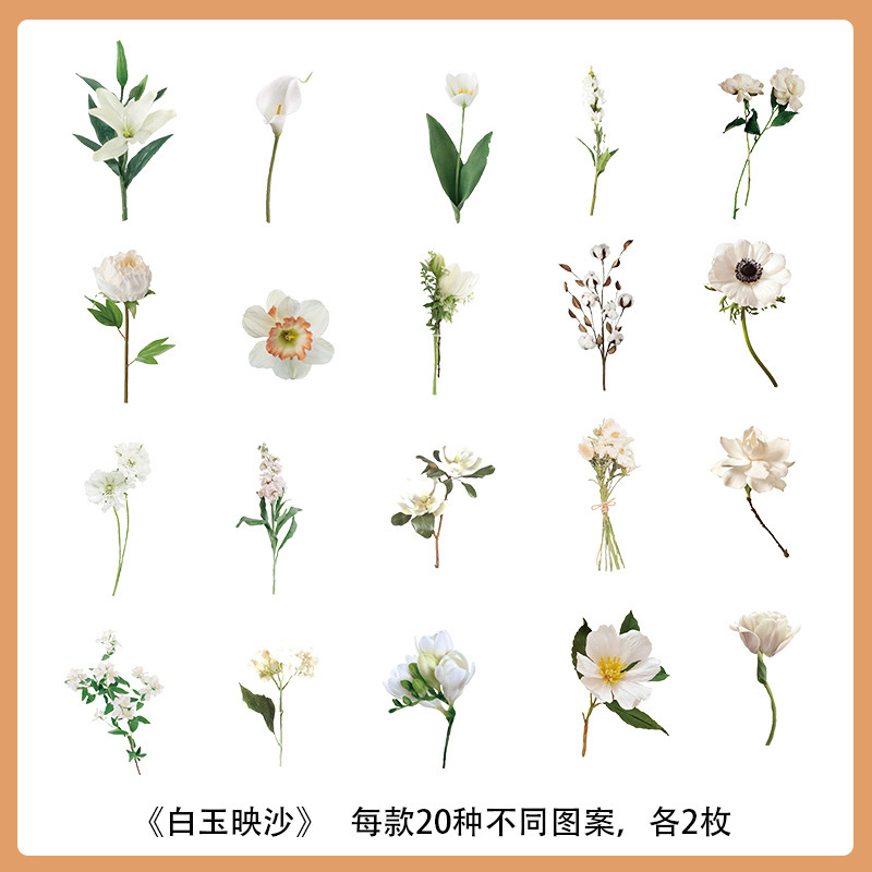 Plantas y flores materiales pegatinas artísticas decoración collage chica Goku tarjeta taza de agua caja de teléfono móvil diy personalizado