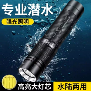 Deep waterproof flashlight strong light long-range super bright professional outdoor long endurance sea rechargeable led diving