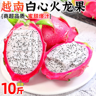 ���Ļ�����Խ���M�����rˮ��5�ﮔ�������܌���C�����������]