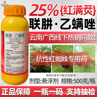 �t�M��25%�����\��t�M�_��t֩���֩�댣��ș���ٲ�ݮ�O��