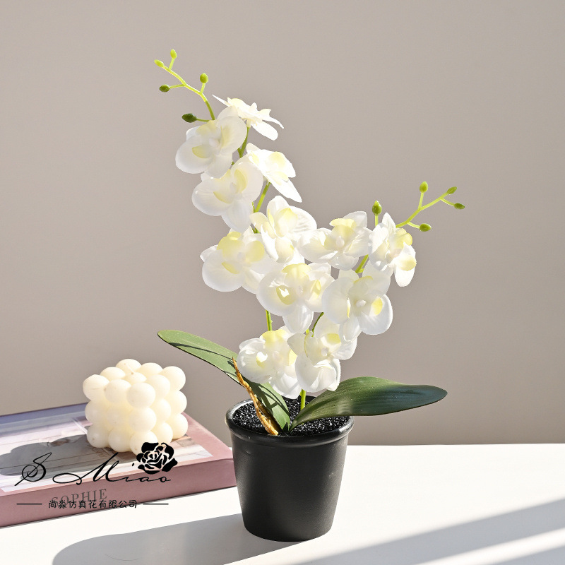 12 flores Phalaenopsis planta en maceta flor de simulación creativa decoración de estudio fotográfico para el hogar decoración planta verde artificial simulación planta en maceta