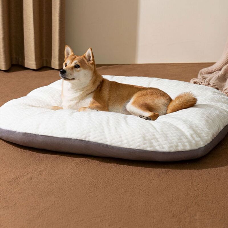 狗狗垫子睡觉狗窝四季猫咪通用拆洗床垫冬季保暖枕头宠物宠物用品|undefined