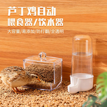 芦丁鸡喂食器鹌鹑雪鸽自动下料器小雏鸡水壶自动饮水器食盒水盒