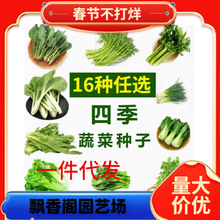 ~˿Сײ˷N߲˷NӴȫļ̨ԲѷN