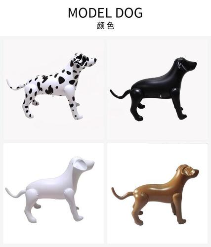 Photography model shelf static window pet shop model display model props photography pet dog clothes