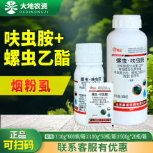 ���� 30%���x߻�x���������t������ʭ���x����߻�x�����x���r��ș