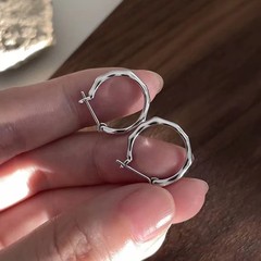 S925 Pure Silver High-End Sense Earrings - Unconventional and Unique Design, Instagram Sweet and Cool Personality, Simple and Versatile Drop Earrings, Wholesale