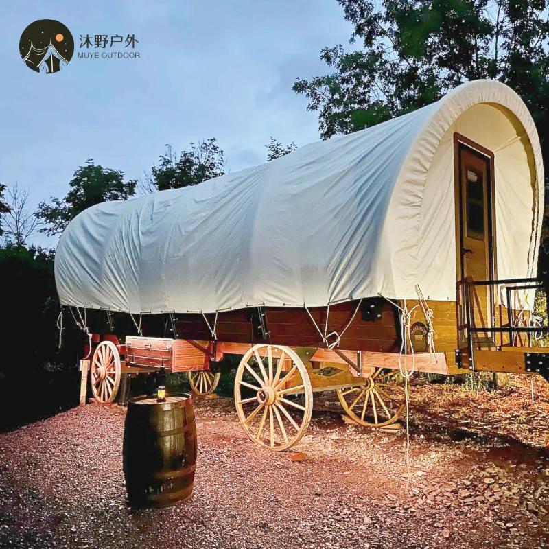Travel carriage