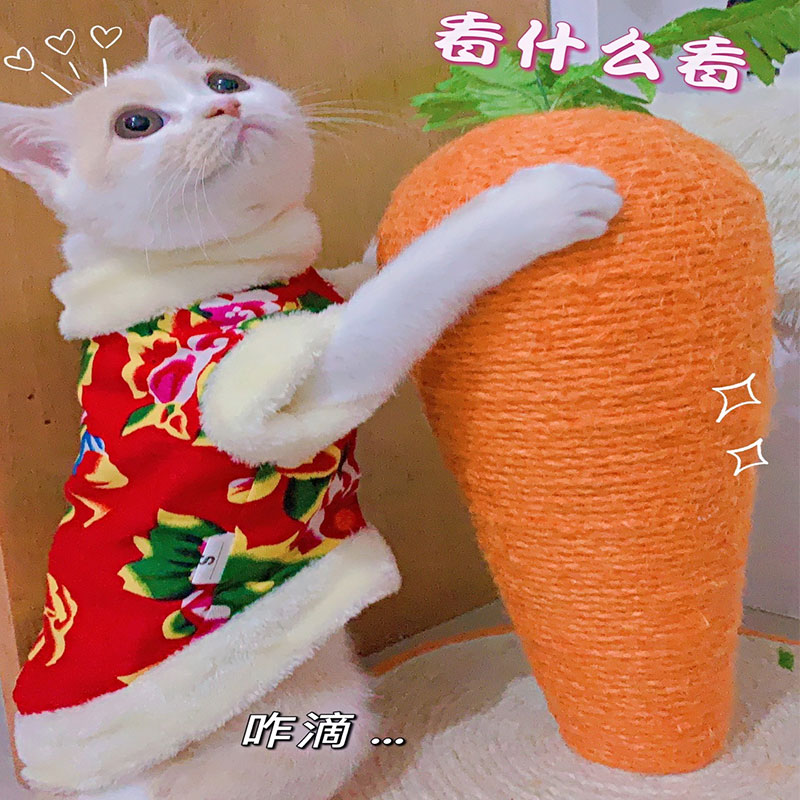 고양이 옷 가을, 겨울 북동쪽 대형 꽃면 자켓 RAGDOLL KITTEN 영국 쇼트 헤어 새해 전날 지참금 애완 동물 새해 축제 당나라 정장