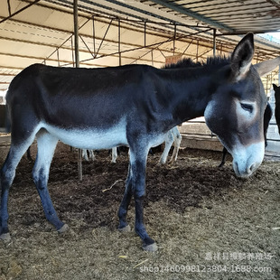 �Bֳ�������H���w���H �������Hһ�^�r�� ���H�Bֳ��