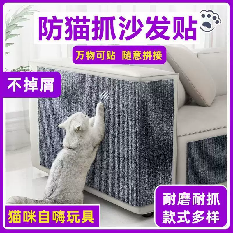 Sofa, protective furniture, transparent protective case, cat