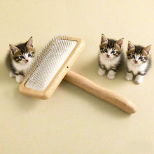 ¿ľȥë칷؈؈ë坍؈