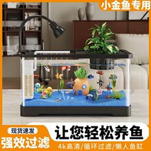 鱼缸水族箱桌面金鱼缸生态造景过滤制氧一体机客厅家用带盖造景缸