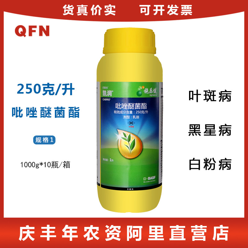 巴斯夫凯润 吡唑醚菌酯植物霜霉病叶斑病白粉病农药杀菌剂 1000g