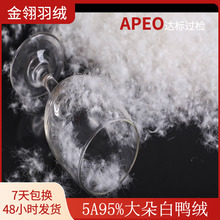 5A95% �������q���坍�����ɏV�z�_��APEO