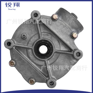 Rear Differential 705501804 705502096