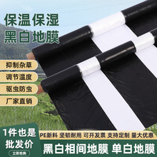 ��Ĥ�r�úڰ����g��Ĥ�p�׆ΰ׵�Ĥ����Ĥ���ϱ�Ĥ������ݷN��