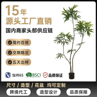 大型仿真绿植孔雀木网红高级感家居室内橱窗装饰落地摆件植物盆栽