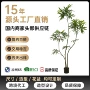 家居大型仿真落地绿植