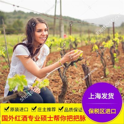 智利原瓶酒庄干红葡萄酒小瓶187.5ml梅洛总代理直销批发团购婚宴|ms