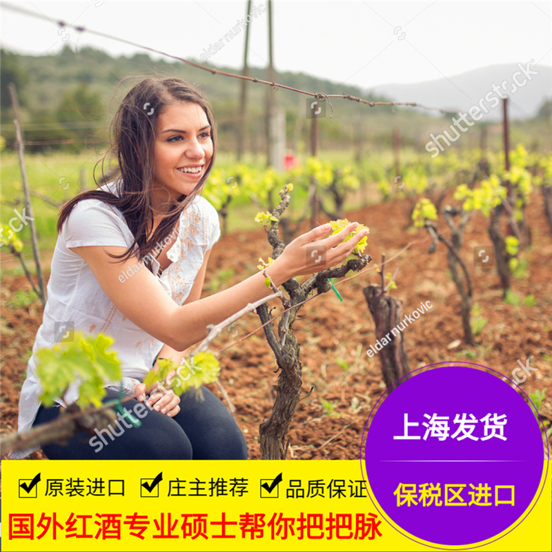 智利原瓶酒庄干红葡萄酒小瓶187.5ml梅洛总代理直销批发团购婚宴|ms