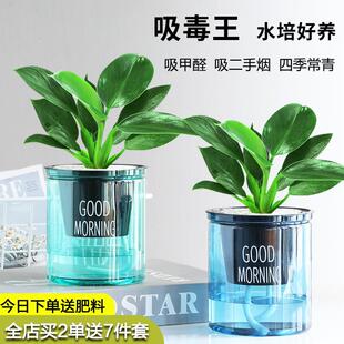 ���~��荾G�������ԾGֲ��ֲؔ���k���҃ȿ͏d��������ȩ���B�׻�