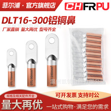 DLT��ͭ����������ͭͭ��ͭ��DLT-16/25/35/50�߶��ǽ�ͷͭ������
