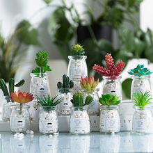 2026���W����ins�L�ٶ���ֲ�ﺆ�s�b�����GֲС�[���R��