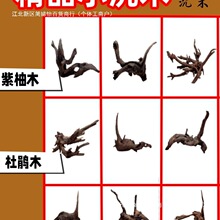 ��ľ����ľ���N���~���쾰�ľ�з�廨��������΢���^����U����ľ