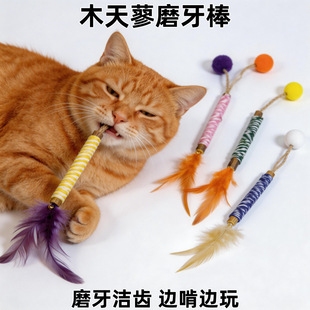 ؈��ľ��ޤĥ�������һ�����l��ë��؈��ĥ����ҧ����؈������l