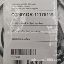 �h�r�F؛��ʿBAUMER����O300Y.QR-11175119ƫ���R�����늂�����