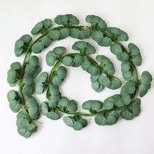 72�~�����ȼ����ٗl��Y�b��������Gɫֲ��������~�ȼ����~