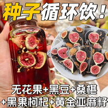 ���N��ѭ�h�衿��r��o���������Ѻڶ��B�����ɣ�ز�Ů��������