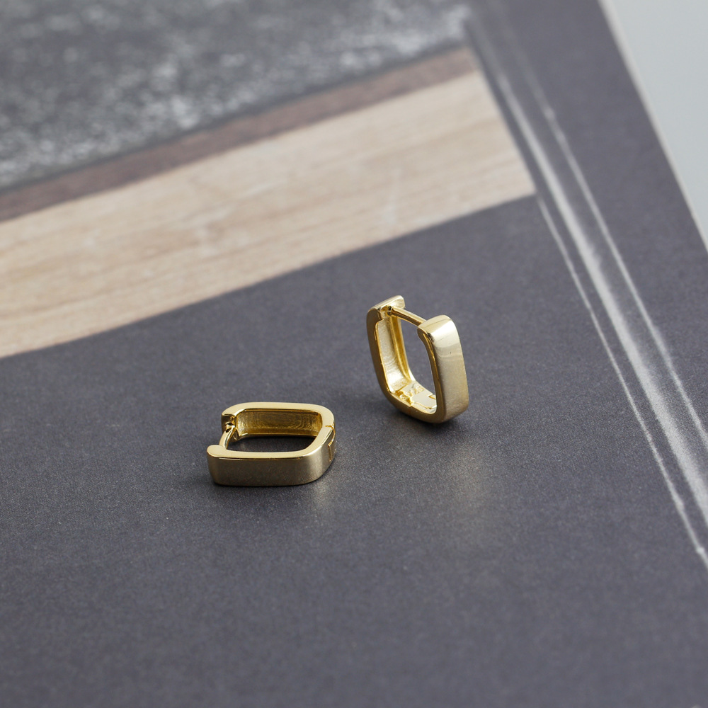 Fashion Geometric Sterling Silver Earrings 1 Pair