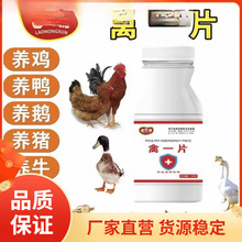 �������˼���һƬ�uș�¿�һƬ�`һƬ��ș��ȫ�uș���uș��֢