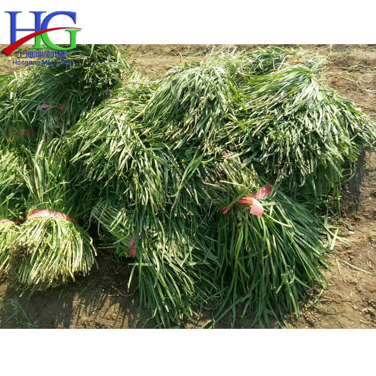 鸿钢牌自走式韭菜收获机小型辣椒收割机器大棚电动割韭菜机械