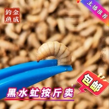 ��ˮ�ߵ���Ұុ��D��~�x�a�~���~�_�w�N�����~�S����ͨ��D
