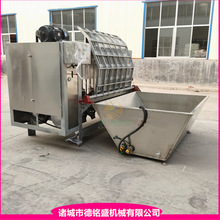 �C�i�^��� �Q��500������i��ë�C ����ֻ�ië�O��