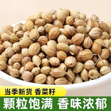 今年新货香菜籽香籽芫荽子芫茜孑食用胡荽籽香料调味卤料调味料