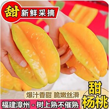 福建漳州甜杨桃水果 //斤鲜果新鲜红龙扬桃五角星阳桃一件代发无