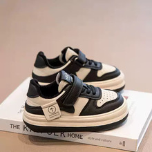 ŮͯЬ2024�����¿ͯ�͎Ͱ�Ь��ͯЬ���\��Ь�д�ͯ�W�����eЬ