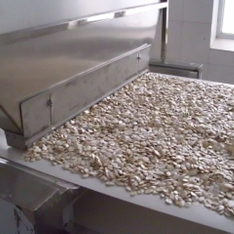 轻型优质不锈钢微波瓜子烘焙机械