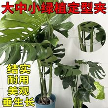 ��һ�l��ֲ�ﻨ�ܾGֲ֧�ΗU������֧�̶ܹ���