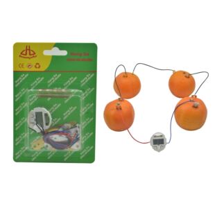 ͯˮl늿ƌWWƼС늳DIY׃@팍