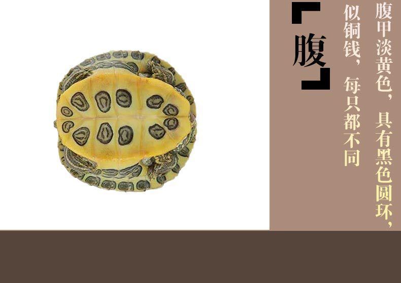 49e15f59-2cf0-4d3a-a5bd-4ec07a514365.jpe