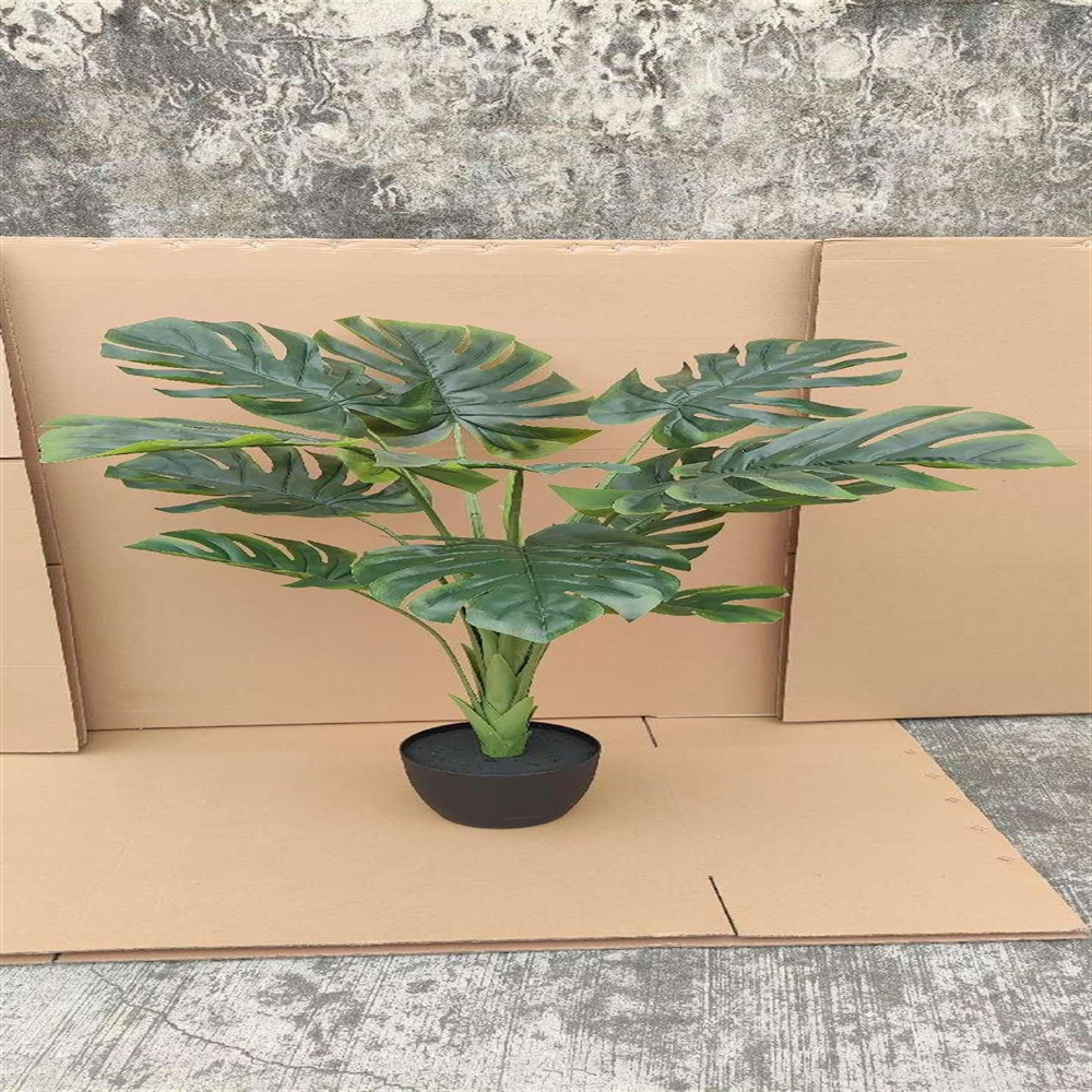 微信图片_202412311129191