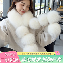 �¿������ë�����Ӻ��p�溆�s���|�o�i�p�ݿ���Ƥ���o�i�����S��